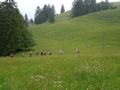 montlingersch08.jpg