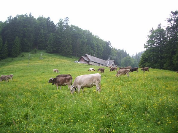 montlingersch07.jpg