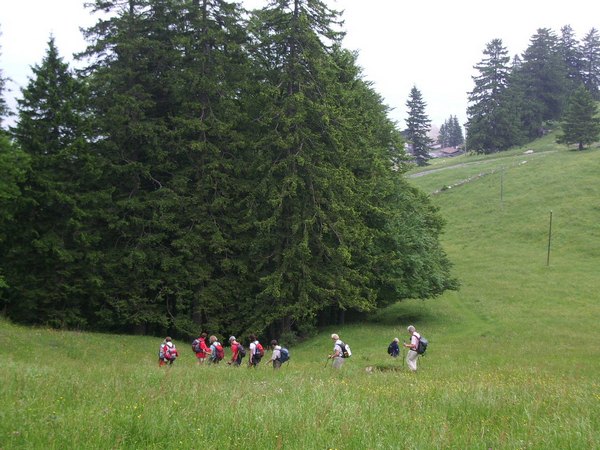montlingersch09.jpg