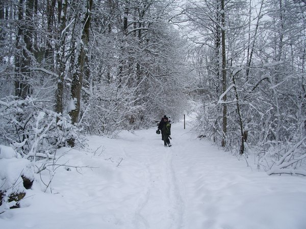 imgp9671.jpg