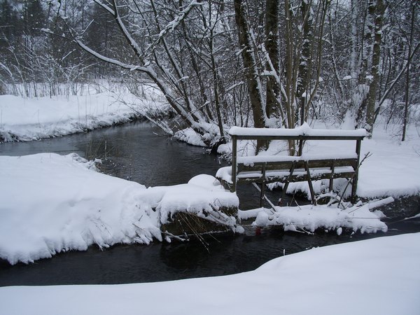 imgp9675.jpg