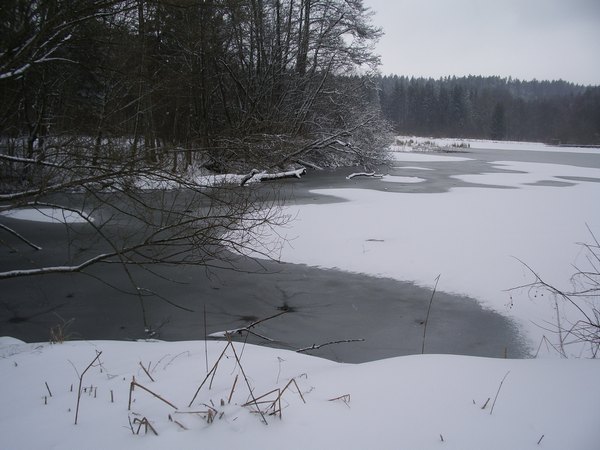 imgp9678.jpg