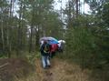 10_im_wald.jpg