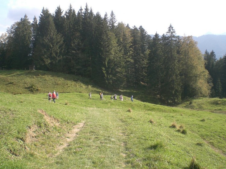 cimg9171.jpg