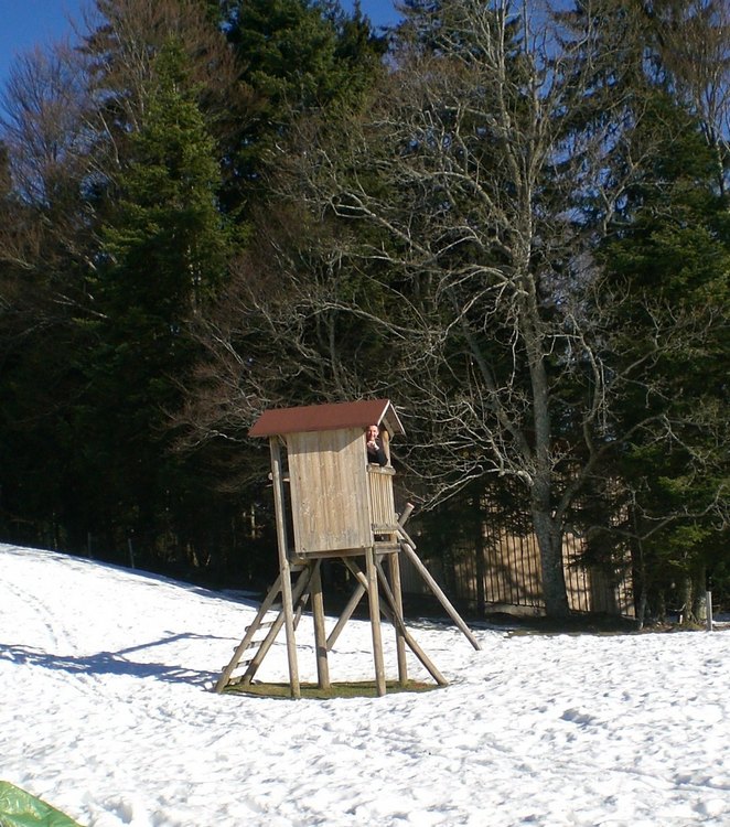 cimg3219.jpg
