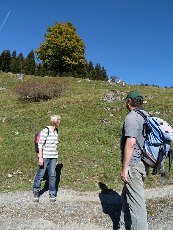 p1020155.jpg