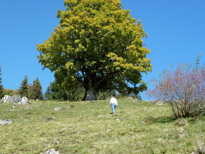 p1020157.jpg