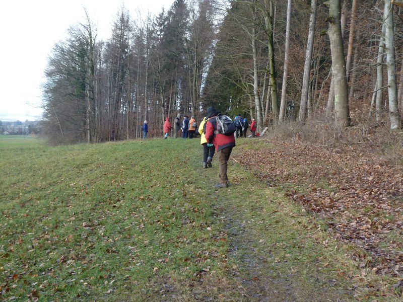 p1030681.jpg