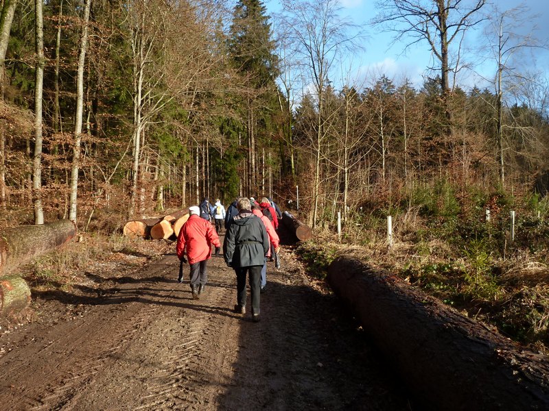 p1030685.jpg