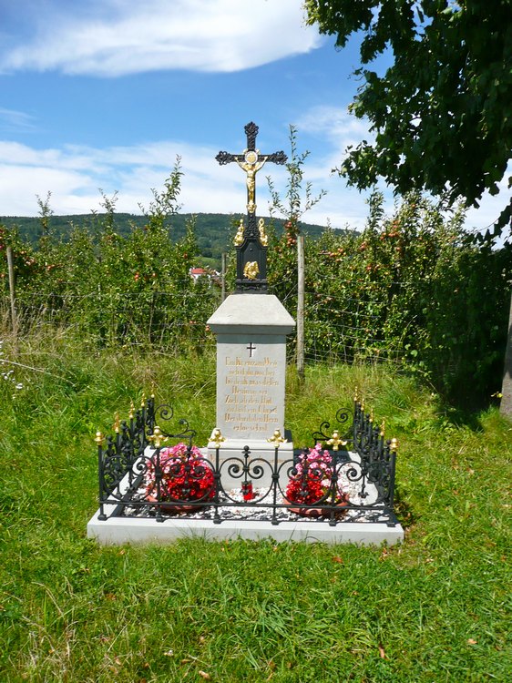 102._2011-8-11_bei_hepbach.jpg