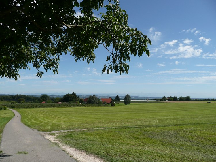 105._2011-8-11_bei_lempfriedsweiler.jpg