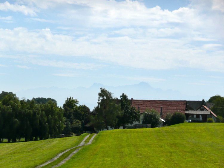 106._2011-8-11_immer_wieder_der_saentis.jpg
