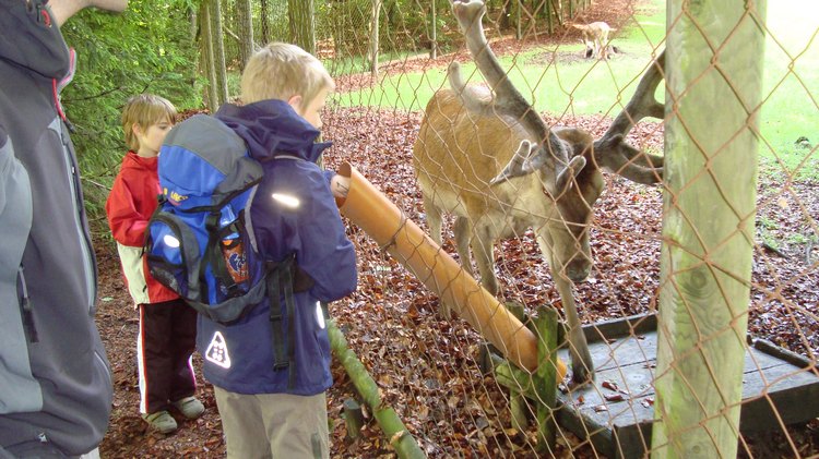 10.am_wildgehege6.jpg