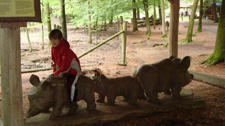 12.am_wildschweingehege.jpg