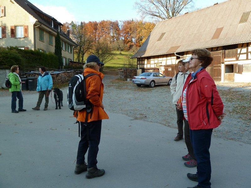 p1030499.jpg