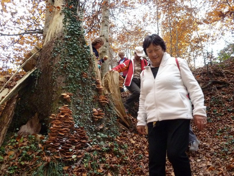 p1030509.jpg