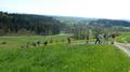 p1000971.jpg