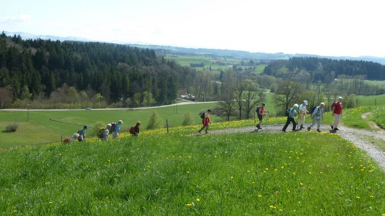 p1000971.jpg
