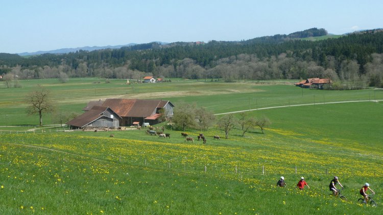 p1000972.jpg