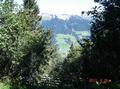 07blick_ins_gr.walsertal.jpg