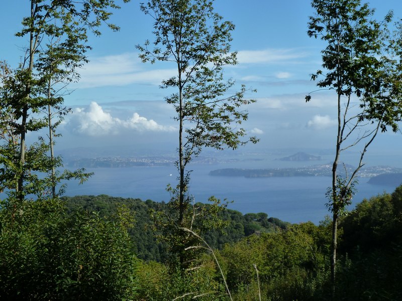 p1030156.jpg