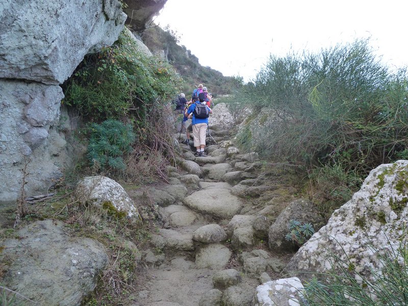 p1030246.jpg