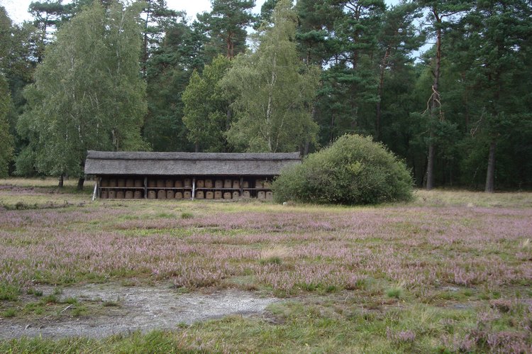 044_bluehende_heide_mit_bienenhaus.jpg