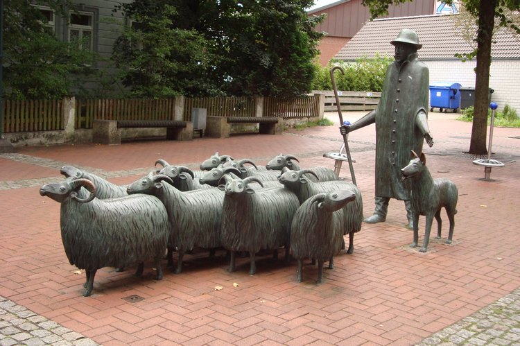063_heidschnucken_in_munster.jpg
