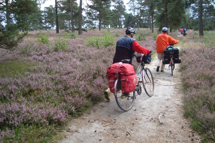 068_durch_die_sandige_heide.jpg