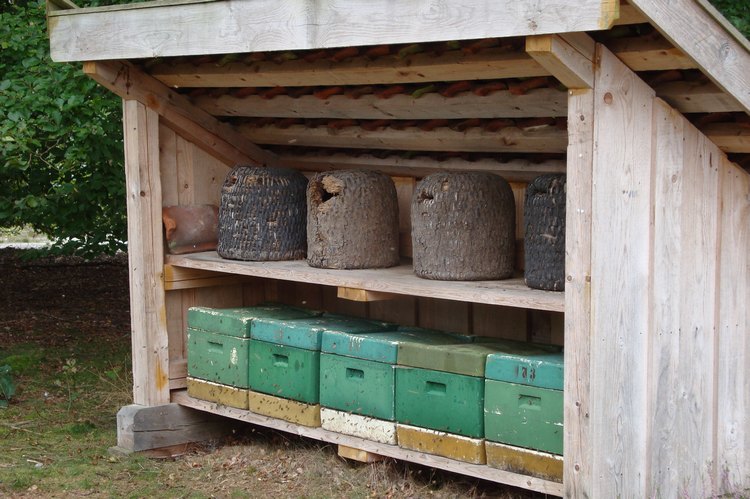 072_bienenstand.jpg