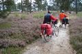 068_durch_die_sandige_heide.jpg