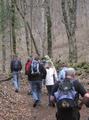 img_1555.jpg