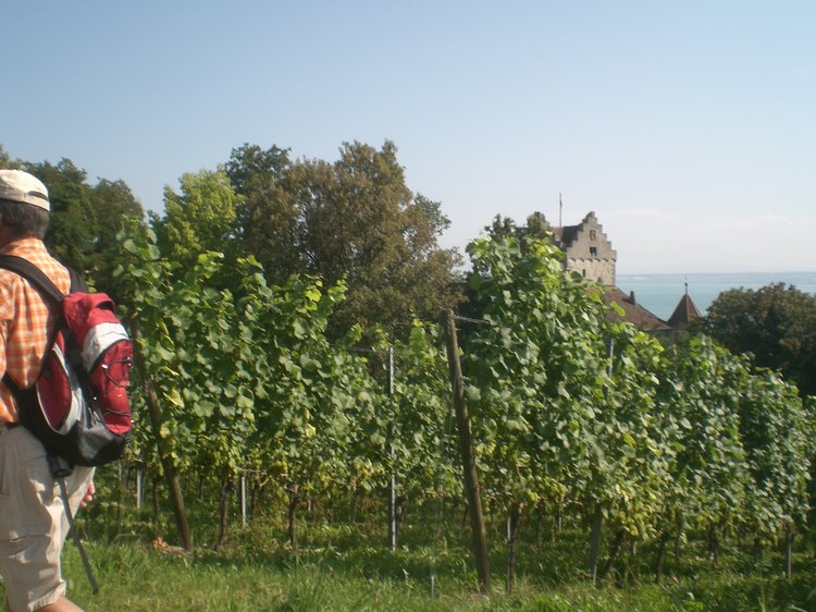 cimg8952.jpg