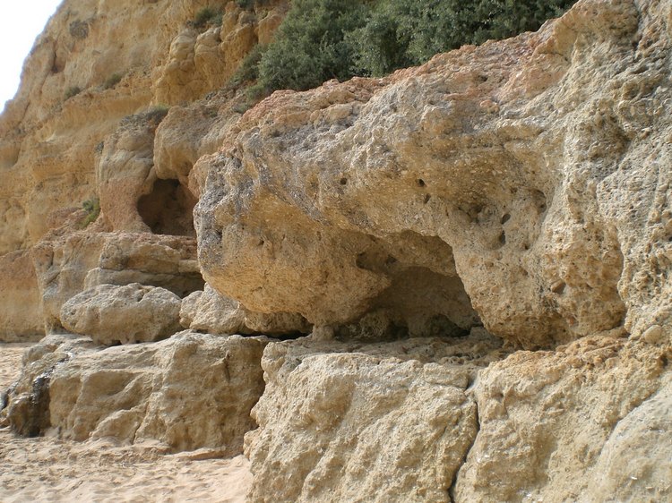cimg4385.jpg