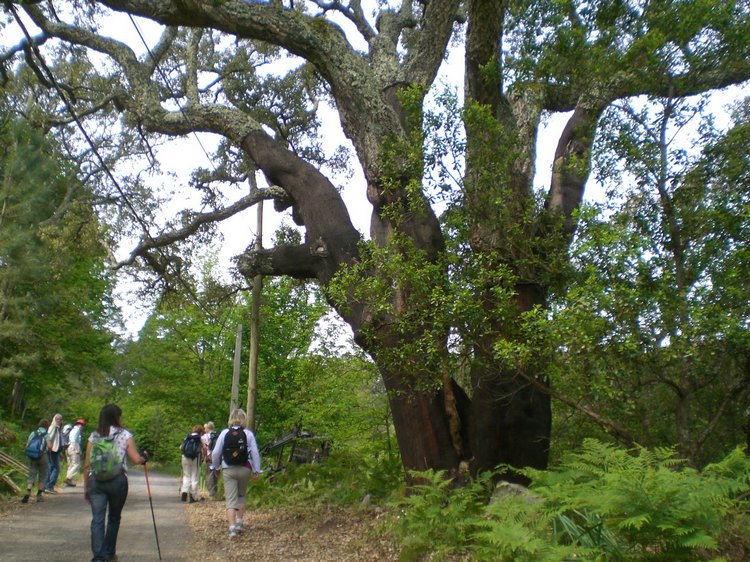 cimg4610_06.05.jpg