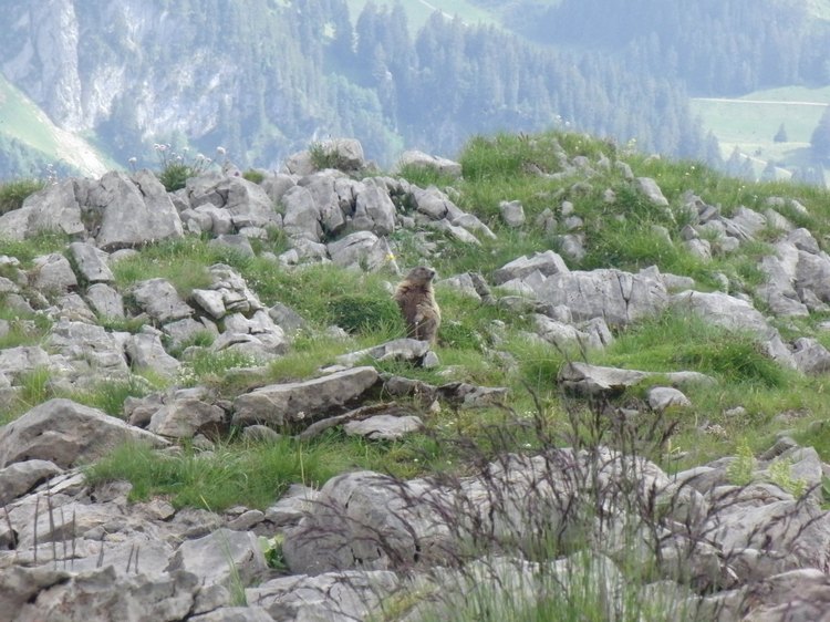 2011_0709_160252.jpg