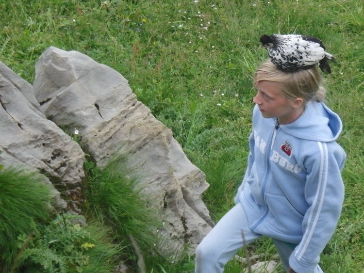 2011_0709_180136.jpg
