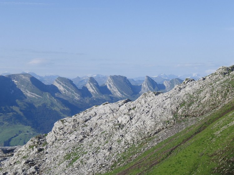 2011_0710_080233.jpg