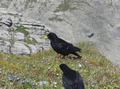 2011_0710_115500.jpg