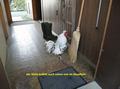 img_4739bb.jpg