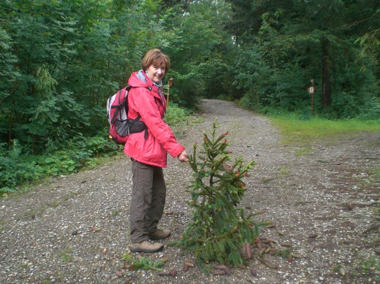 cimg6128.jpg