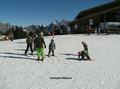 img_3467aa.jpg