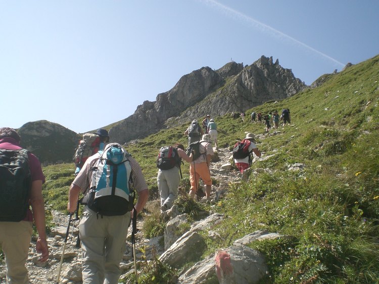 cimg8862.jpg