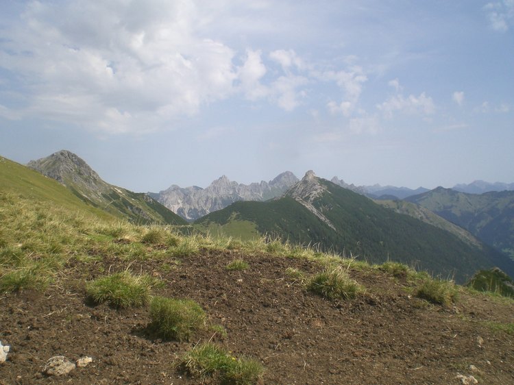 cimg8883.jpg