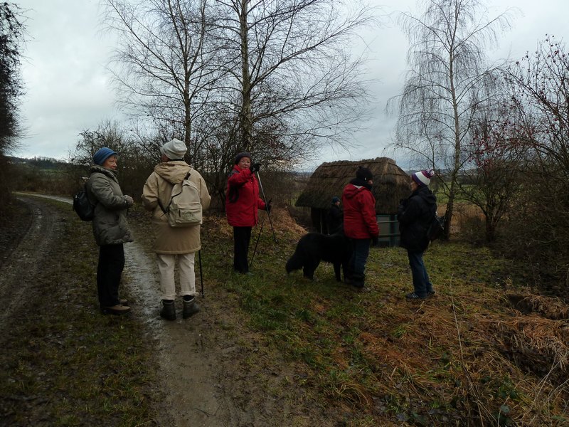 p1040186.jpg