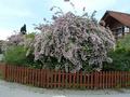 p1040604.jpg