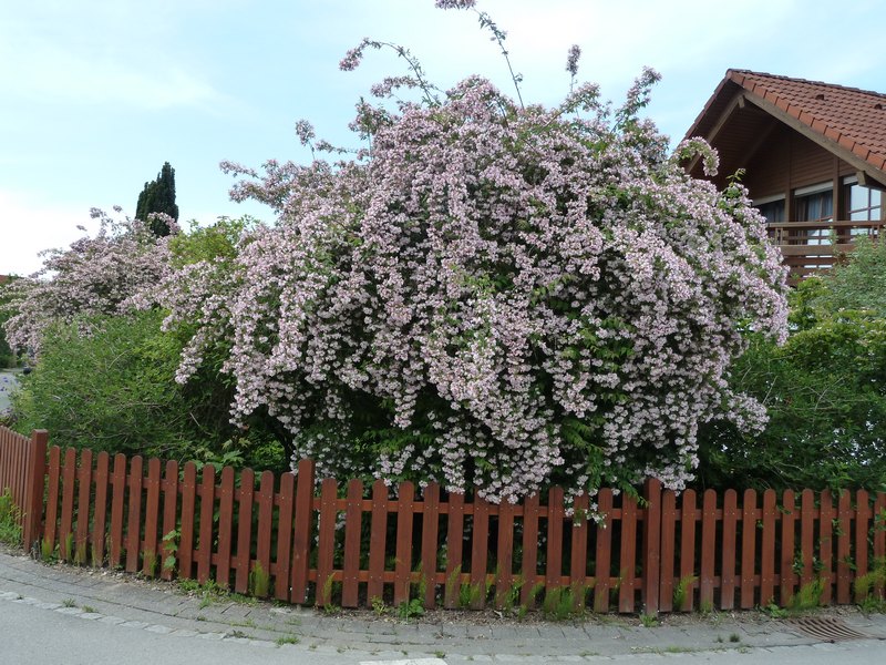 p1040604.jpg