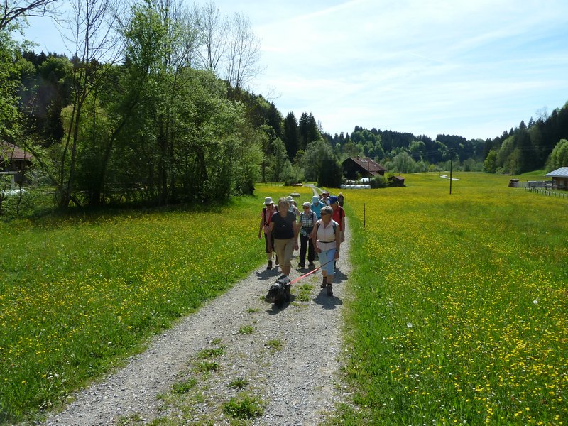 p1040420.jpg