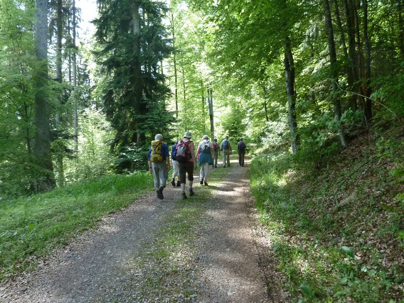 p1040422.jpg