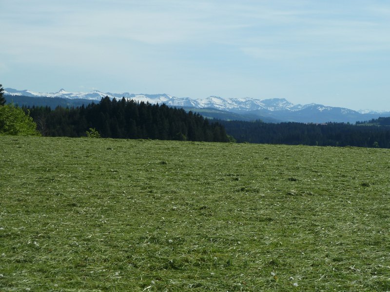 p1040425.jpg